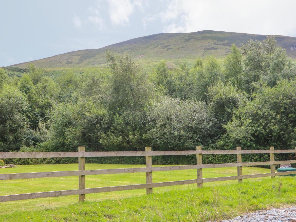 Oak Tree Lodge Killarney Bagian luar foto